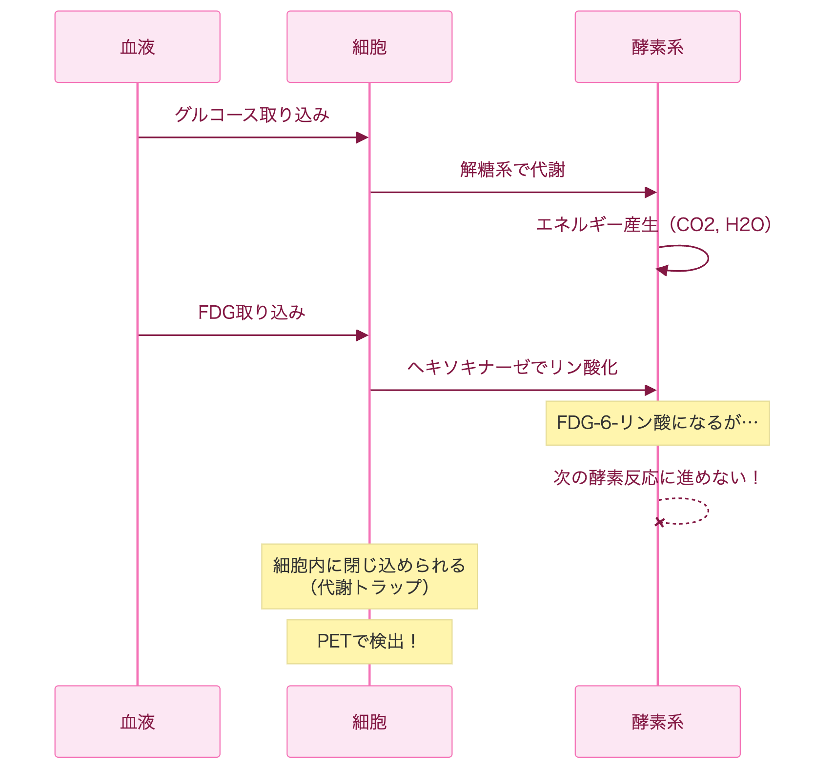 FDGの代謝トラップ（Metabolic Trap）の原理