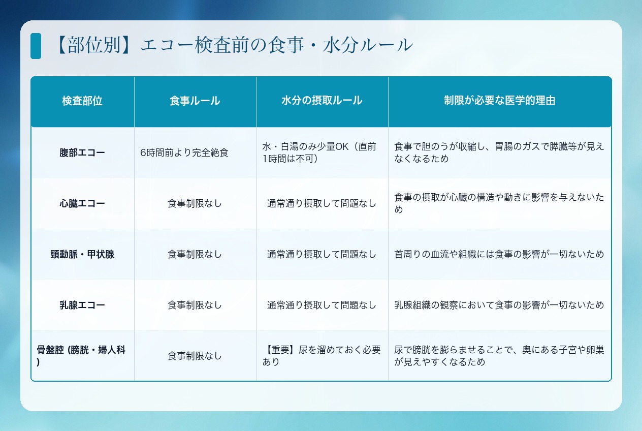 エコー検査前の食事・水分ルール