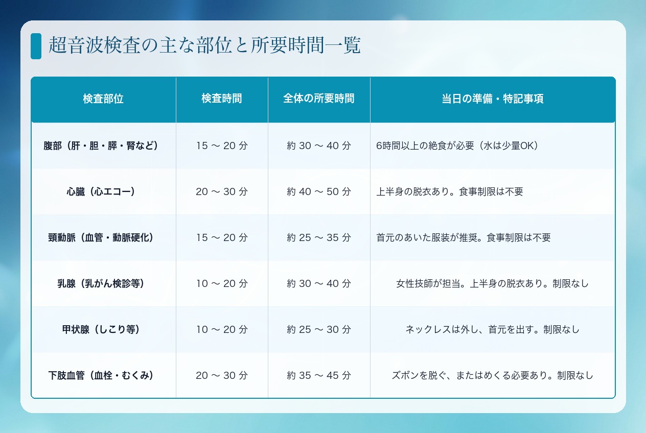 エコー検査の主な部位と所要時間一覧